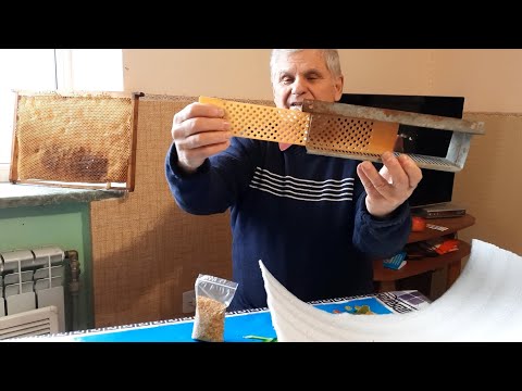 Видео: Цветочная пыльца как лекарство