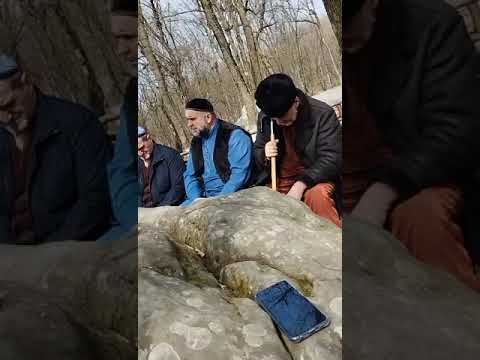 Видео: ХЬАЬЖИ КЪАМЕЛ 1АЬЛВИ МАРТАН Т1ЕР