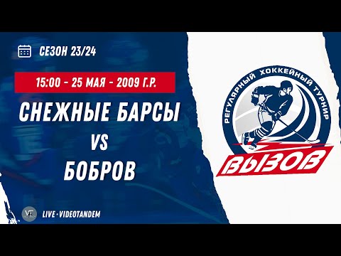 Видео: Снежные Барсы 09 (Москва) - Бобров 09 (Бобров) / 25.05.2024