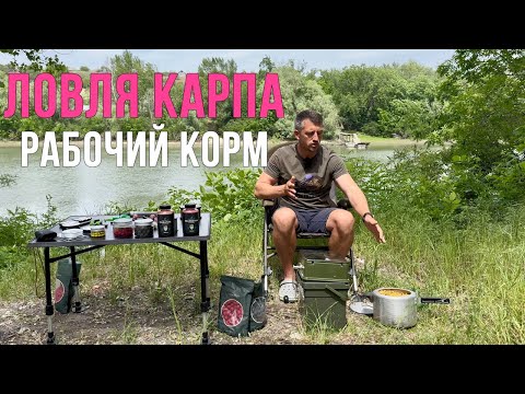 Видео: Корм на карпа, который ловит! Карпфишинг 2025