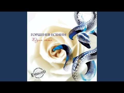 Видео: Скрипка-метель