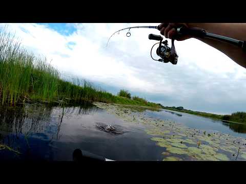 Видео: НАЛОВИЛ РЫБЫ забыв дома Блёсны!