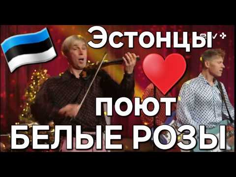 Видео: Эстонцы поют «БЕЛЫЕ РОЗЫ» / Новогодний концерт / Новый Год 2025