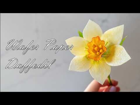 Видео: НАРЦИСС из Вафельной Бумаги