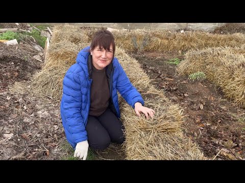 Видео: Как выращивать растения на тяжелых глинистых почвах