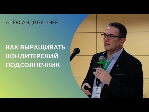 Видео: Как выращивать кондитерский подсолнечник | Александр Бушнев, ВНИИМК