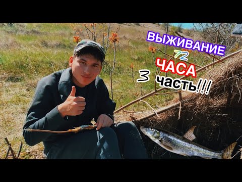 Видео: Выживание 72 часа!!! Третья часть проекта. Изготовление самодельной удочки. Рыбалка.