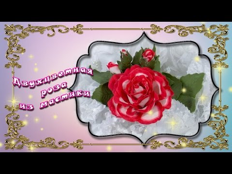 Видео: Двухцветные розы из мастики
