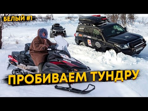Видео: ИЩЕМ ПУТЬ В АРКТИКУ ЧЕРЕЗ ТУНДРУ. ОЛЕНЕВОДЫ ДОГНАЛИ НА СНЕГОХОДА. О.БЕЛЫЙ #1