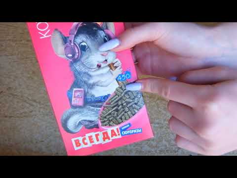 Видео: ПОКУПКИ ИЗ ЗООМАГАЗИНА