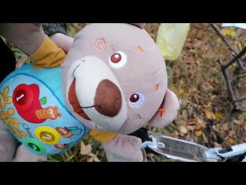 Видео: Совместные вести. 1 выпуск