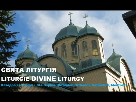 Видео: Отців VII Вселенського Собору • 7th Ecumenical Council Fathers • Pères du 7e concile œcuménique