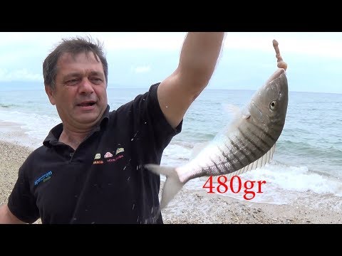 Видео: 🎯 Как поймать рыбу на море без удочки? Закидушка в деле!