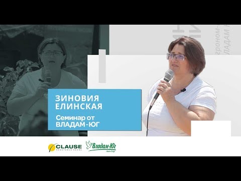 Видео: Как лечить фузариоз, защита растерий от бактериальных грибов (Советует Агроэксперт Зиновия Елинская)