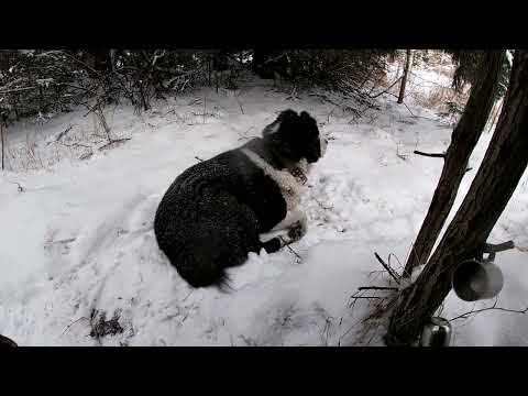 Видео: 8 ноября