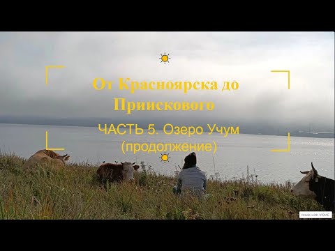 Видео: От Красноярска до Приискового Часть 5. Озеро Учум (продолжение).