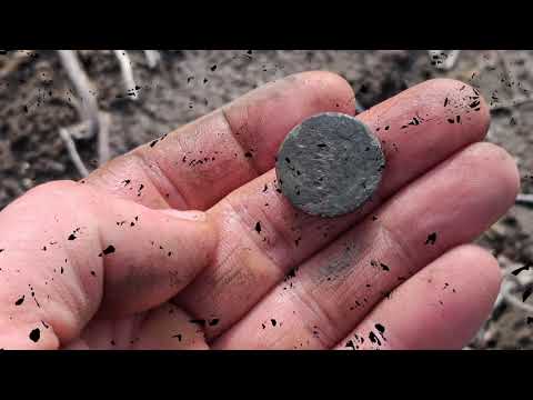 Видео: Осенний КОП 2025