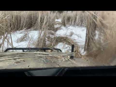 Видео: Argo 8x8 вездеход Арго - ледокол.  Через воду, через лес - мы везём зверям поесть)))