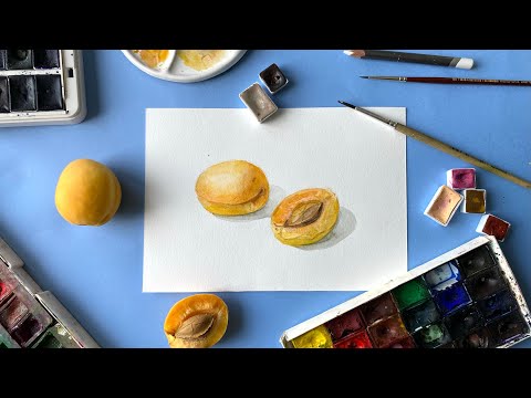 Видео: Как нарисовать абрикосы акварелью. How to draw apricots in watercolor