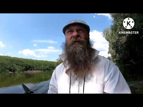 Видео: Сплав по Протве 1часть.