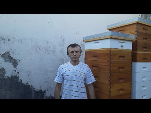 Видео: Правда о ситуации по меду в Аргентине 2019