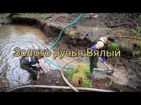 Видео: Золото ручья Вялый