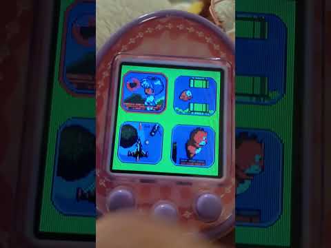 Видео: ОБЗОР НА ТАМАГОЧИ TOUMA PET 💝