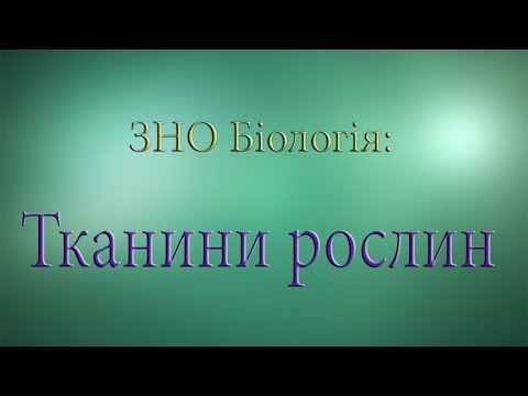 Видео: ЗНО Біологія  Тканини рослин