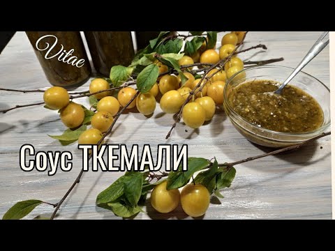 Видео: СОУС ТКЕМАЛИ -грузинский рецепт из жёлтой алычи