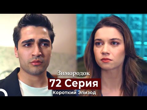 Видео: Зимородок 72 Cерия (Короткий Эпизод) (Русский дубляж)