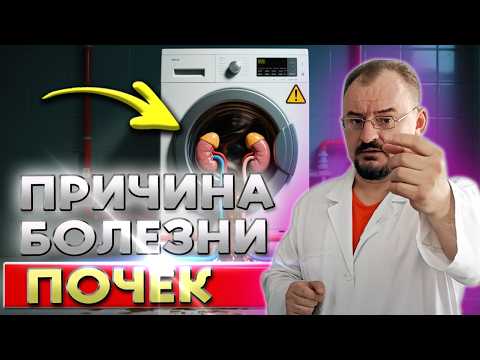 Видео: Почки это твоя стиральная машина внутри тебя. Не сломай её!