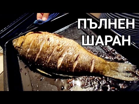 Видео: ПЪЛНЕН ШАРАН С ПЛЪНКА ОТ ОРИЗ И ОРЕХИ ПЕЧЕН НА ФУРНА! ЕДНО ВКУСНО И ЗДРАВОСЛОВНО ПРЕДЛОЖЕНИЕ!!!