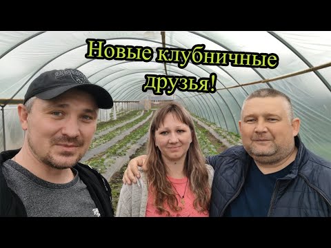 Видео: Новые клубничные друзья. Дима из ст.Крыловской