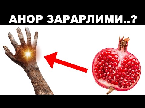 Видео: АНОР ХАҚИДА СИЗ БИЛМАГАН 10 ТА СИРЛИ ФАКТЛАР..😱