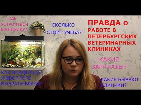 Видео: Правда о работе в Петербургских ветеринарных клиниках.