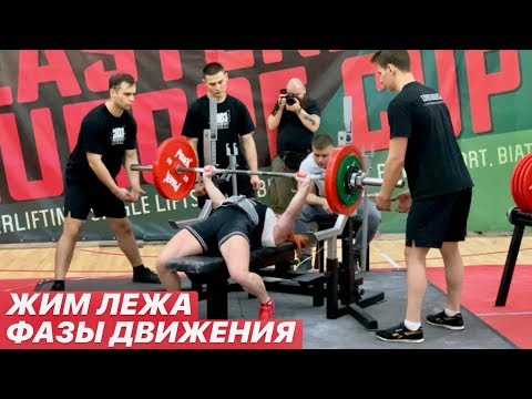 Видео: Методика тренировок. Часть 9. Жим лёжа. Фазы движения
