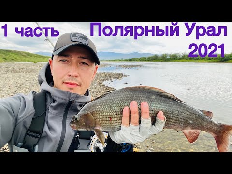 Видео: на Полярный УРАЛ за трофейным ХАРИУСОМ 2021 #1