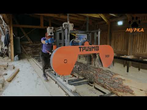Видео: Работа на ЛЕНТОЧНОЙ ПИЛОРАМЕ ТРИУМФ Working on the TRIUMPH BELT SAW MACHINE  pilam.ru