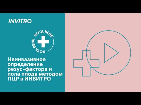 Видео: Неинвазивное определение резус-фактора и пола плода методом ПЦР в ИНВИТРО