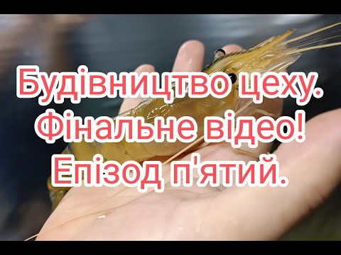 Видео: Будівництво цеху для вирощування креветки та АККР. Фінальне відео! Епізод п'ятий.