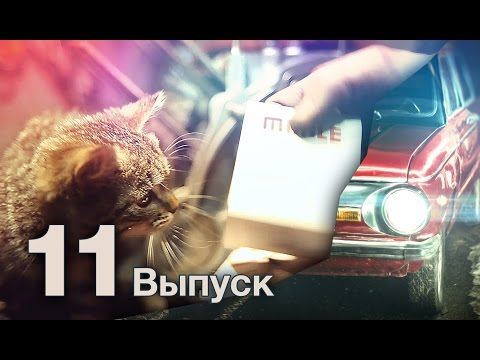 Видео: Запорожец мечты. МОТОР, СОБЕРИСЬ! Выпуск 11