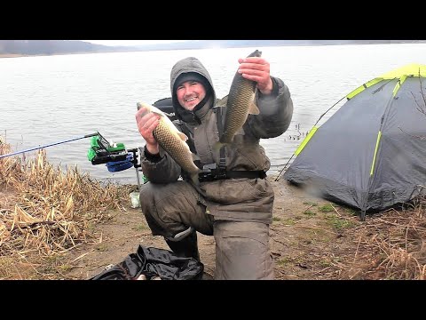 Видео: ЭЛЬДОРАДО НА ДИКАРЕ! АМУРЫ! КИЛОШНЫЕ КРАСНОПЁРКИ! ДЕЛИКАТНЫЙ ФИДЕР НА СТОЯЧЕМ ВОДОЁМЕ!