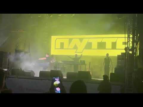 Видео: #нилетто 