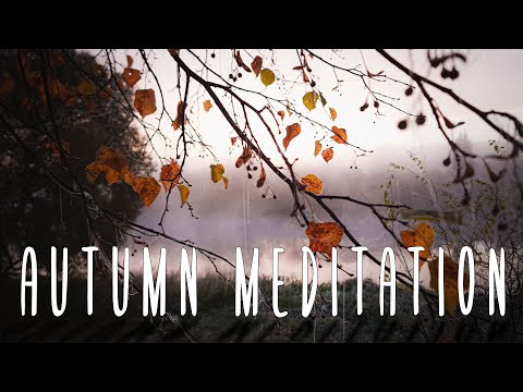 Видео: Autumn Meditation: Yellow Leaves, Misty River & Peaceful Park | Осенняя медитация