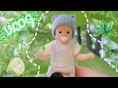 Видео: ВЛОГ С МИНИ РЕБОРНОМ / ПРОГУЛКА С СИЛИКОНОВЫМ МИНИ РЕБОРНОМ