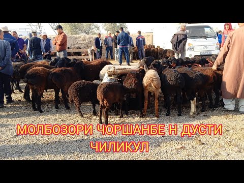 Видео: МОЛБОЗОРИ ЧОРШАНБЕ Н ДУСТИ 08.10.2025. г