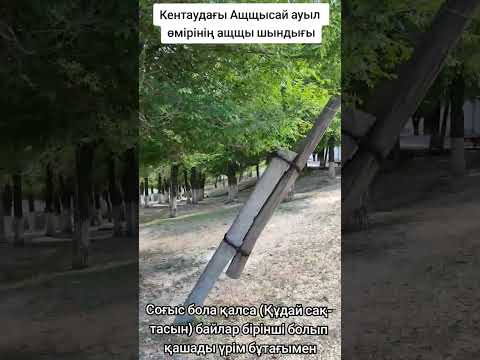 Видео: Ащщысайдың ащщы шындығы, шынайы ахуалы осындай