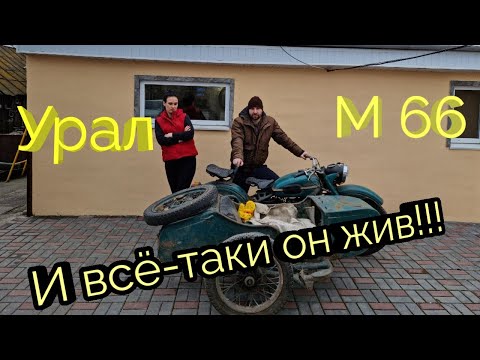 Видео: Побитый, грязный, уставший, но живой! / Заводим Урал М66