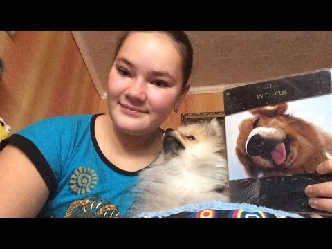 Видео: Как уговорить родителей купить собаку#2 Тетрадь!!!