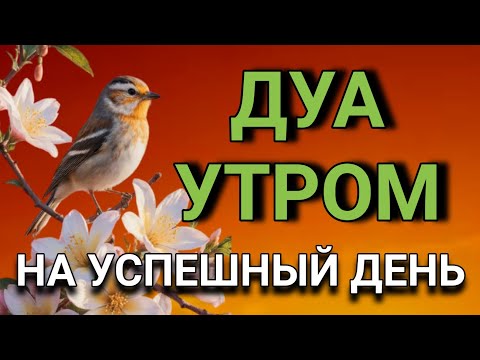 Видео: 🤲 ДУА УТРОМ САМЫЙ МОЩНЫЙ СТАРТ ДНЯ! 🔑☀️💯